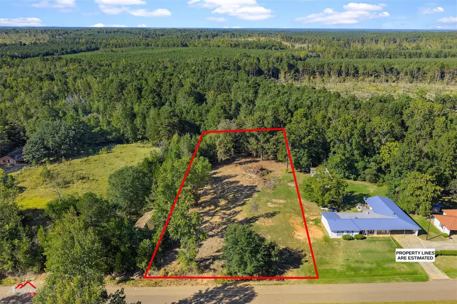 0 Bolinger Cutoff Road, Plain Dealing, LA 71064 - #3