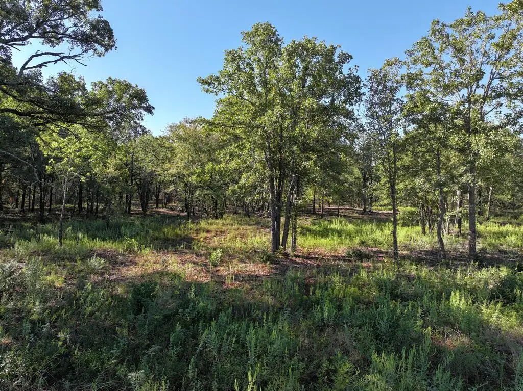 8602 Cr 2448, Kemp, TX 75143 - #1