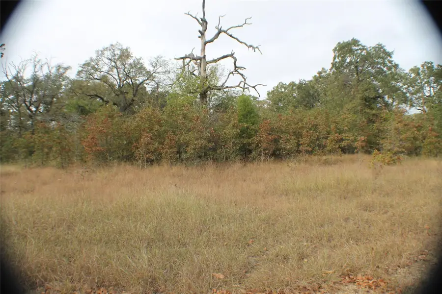 26 Boca Chica, Malakoff, TX 75148 - #3