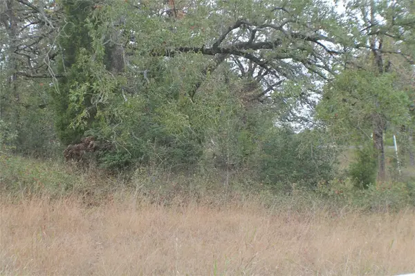 355 Buena Vista, Malakoff, TX 75148