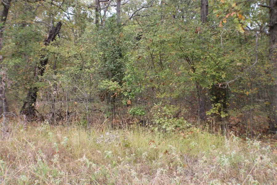 355 Buena Vista, Malakoff, TX 75148 - #2