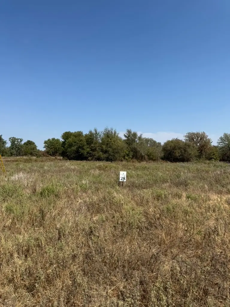 LOT 28 Fm 1810, Chico, TX 76458 - #2