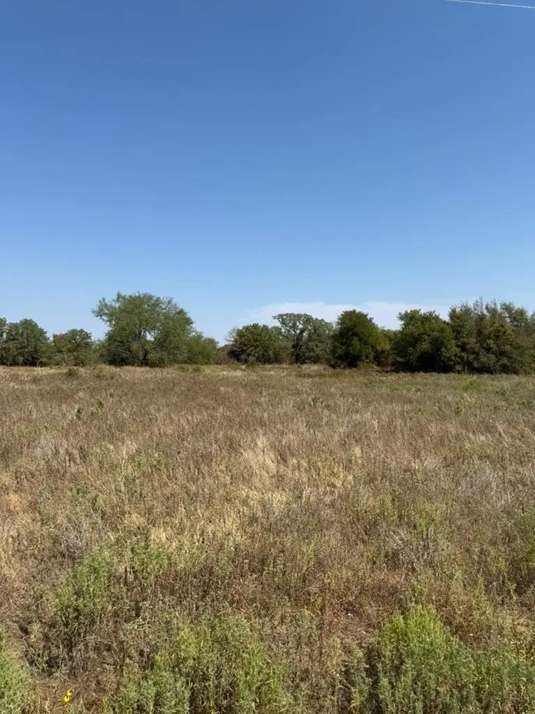 LOT 28 Fm 1810, Chico, TX 76458 - #3