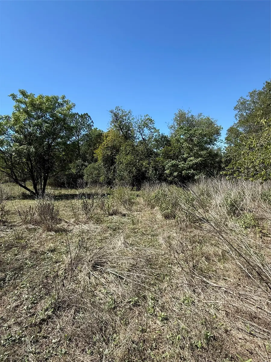 TBD Avenue G, Valley Mills, TX 76689 - #2
