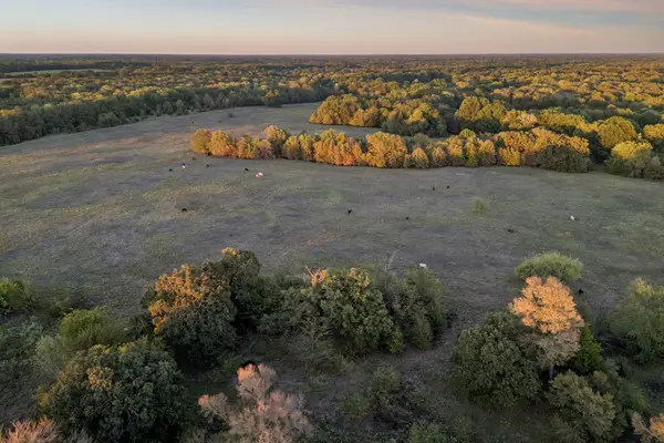 TBD Rs County Road 4310, Point, TX 75472