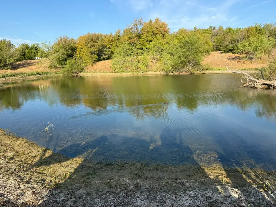 TBD 12 Palmyra, Palmer, TX 75152 - #3