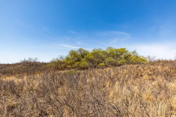 TBD Cr 238, Post, TX 79356