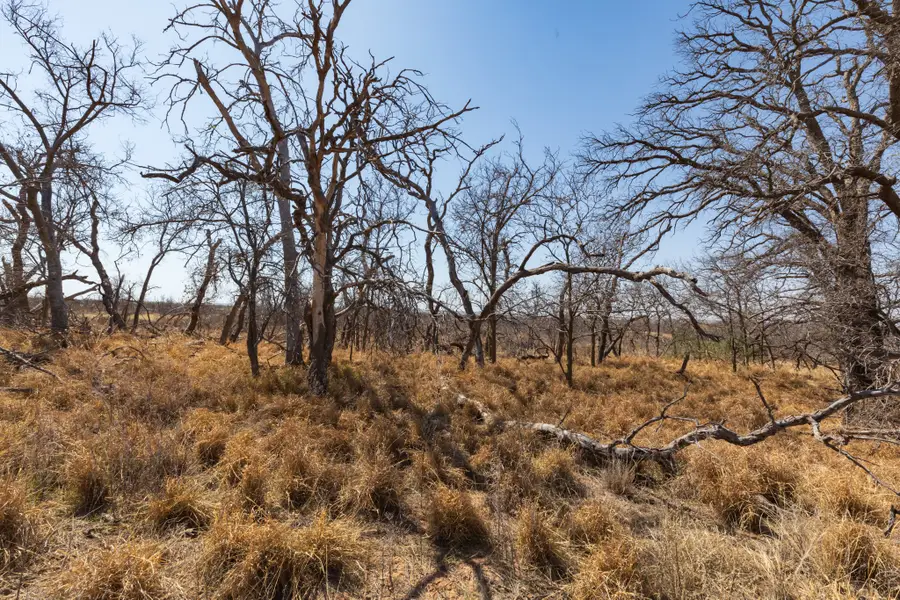 TBD Cr 238, Post, TX 79356 - #3