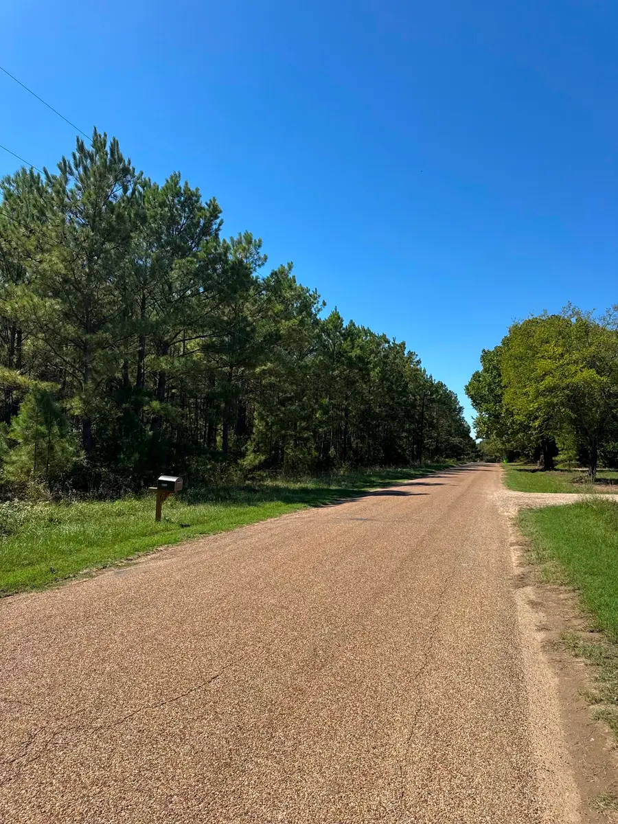 Lot 8 County Road 2922, Eustace, TX 75124 - #2