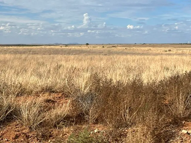 TBD County Rd 412, Roby, TX 79543 - #3