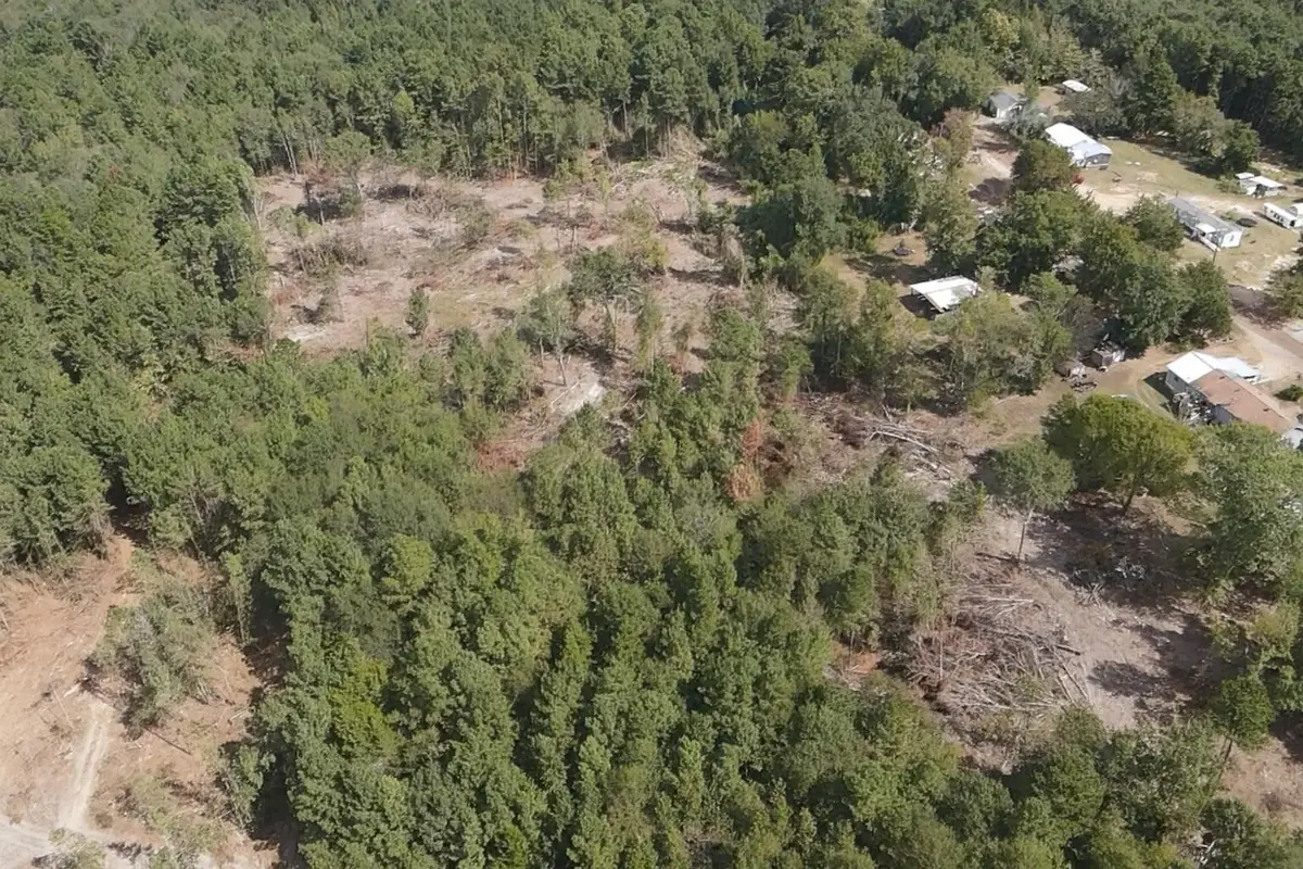 500 Uren Lee Road, Overton, TX 75684 - #1