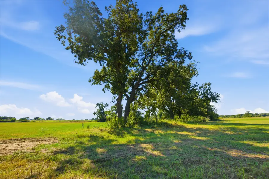 TBD Clary Road, Millsap, TX 76066 - #2
