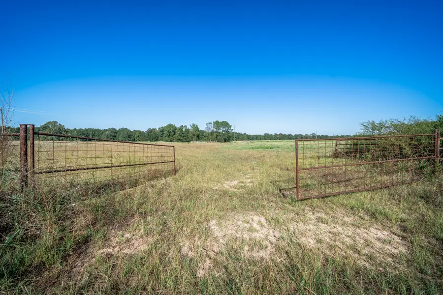 0 Ora Asa Johnson Rd., Harleton, TX 75651 - #2