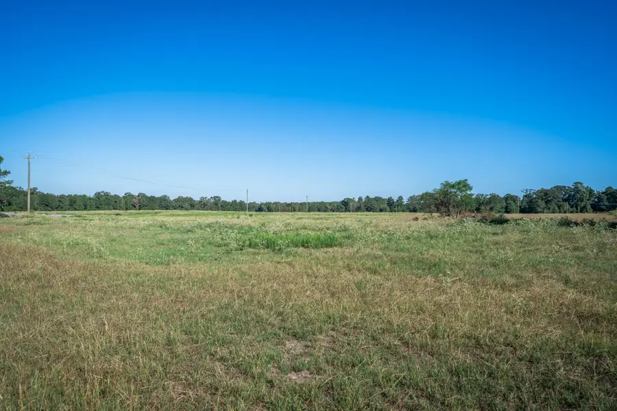 0 Ora Asa Johnson Rd., Harleton, TX 75651 - #3