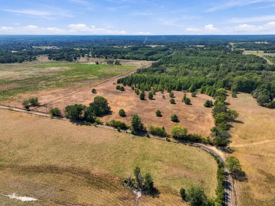 40.54acres TBD County Road 2314, Pittsburg, TX 75686 - #3