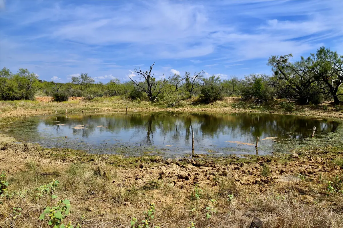 1722 Fm 574, Mullin, TX 76864 - #1