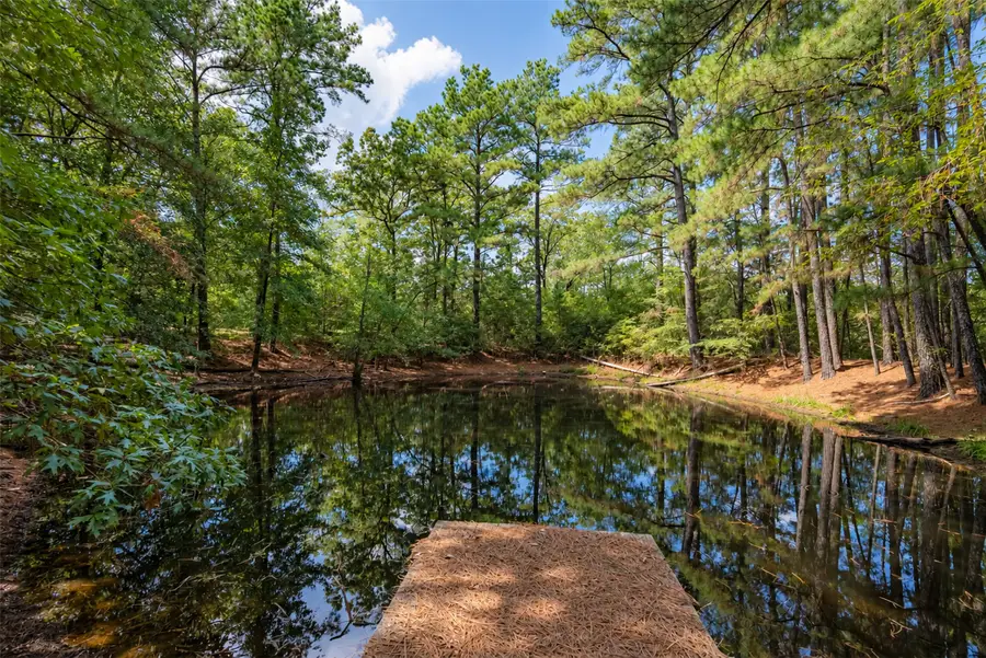 20436 Fm 315, Palestine, TX 75803 - #3