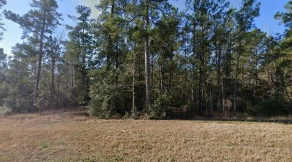 16 Coyote, New Waverly, TX 77358 - #1