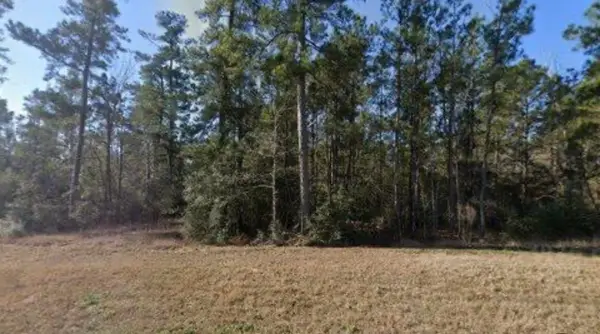 16 Coyote, New Waverly, TX 77358