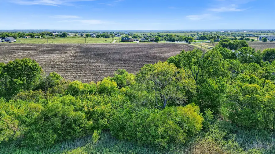 229 Pike Road, Gunter, TX 75058 - #3