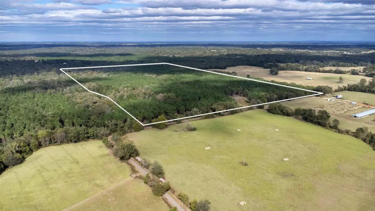 TBD Wolf Road, Pittsburg, TX 75686 - #1