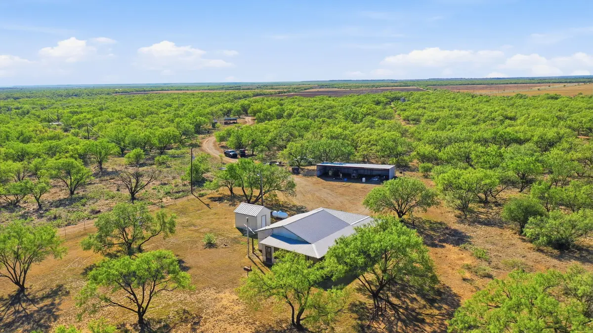 3983 N 183 Highway, Woodson, TX 76491 - #1