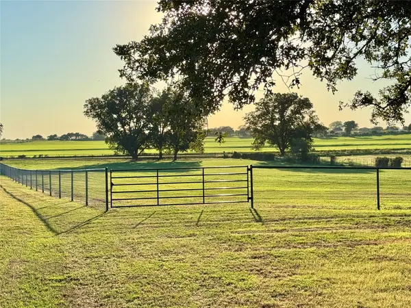 6101 Wild Cat Knob Road, Tolar, TX 76476
