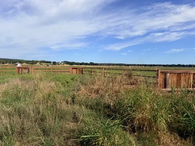 770 Beddo Mountain Road, Santo, TX 76472 - #3