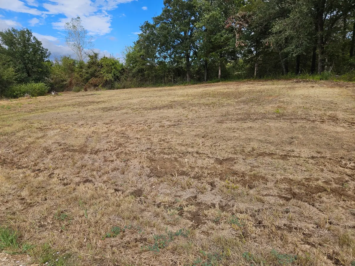 32 E Elmwood, Mount Vernon, TX 75044 - #1