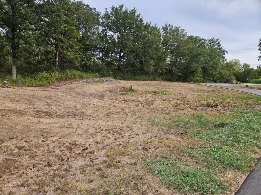 32 E Elmwood, Mount Vernon, TX 75044 - #2