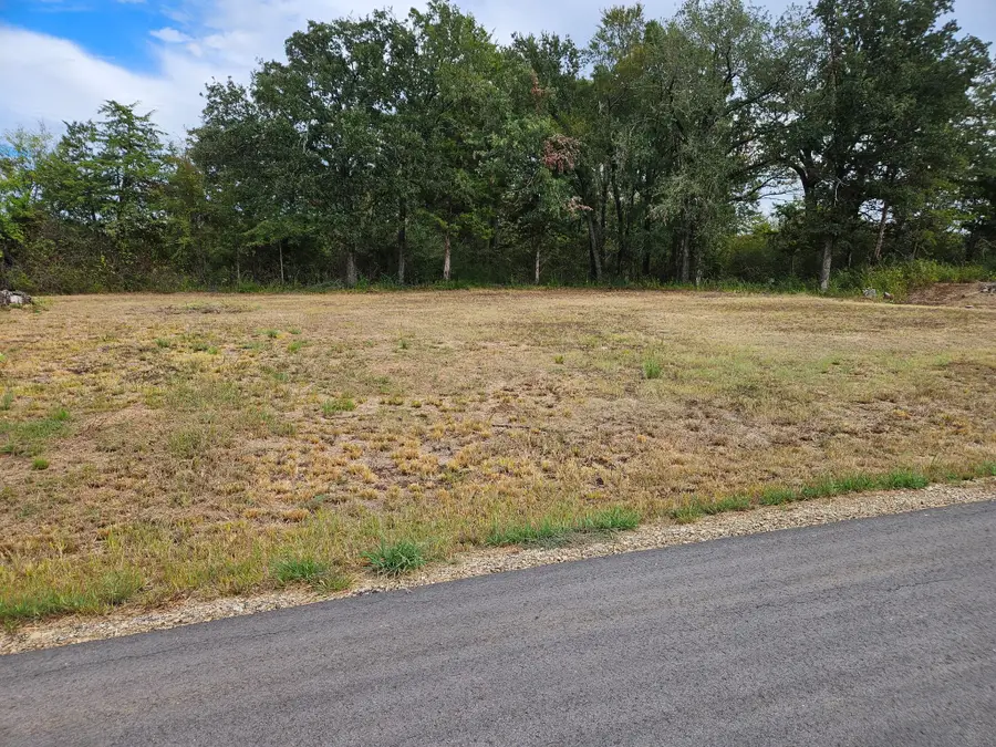 32 E Elmwood, Mount Vernon, TX 75044 - #3