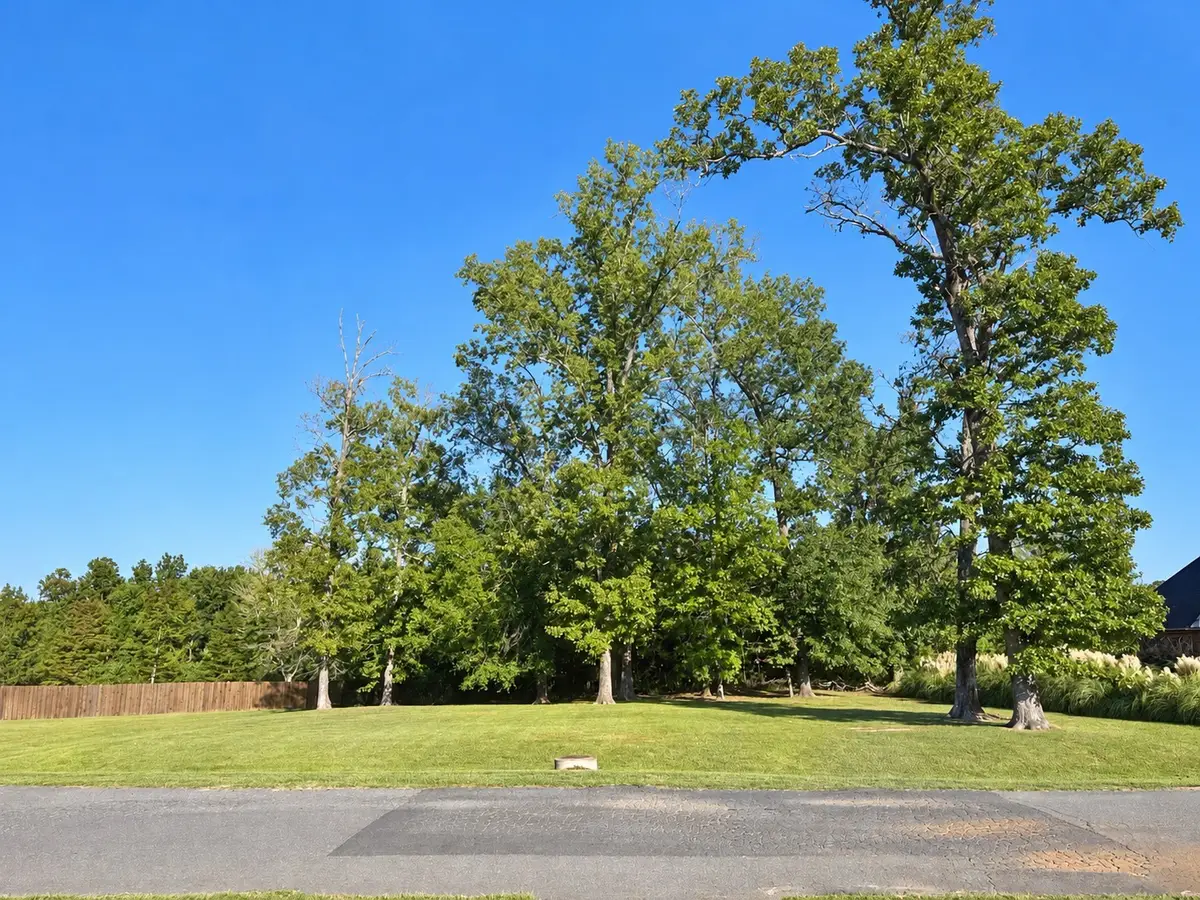 1119 Bear Creek, Haughton, LA 71037 - #1