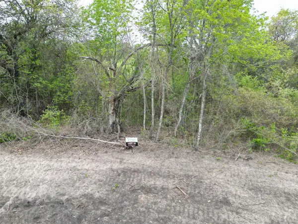 197 Fan Mill Trail, Weatherford, TX 76085