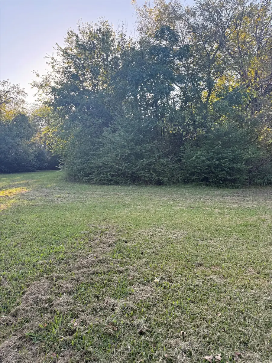 TBD Mckain Alley, Wills Point, TX 75169 - #2