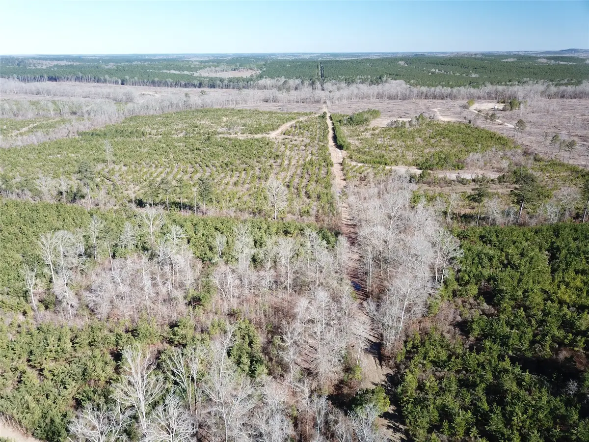 00 Off Hwy 517, Gibsland, LA 71028 - #1