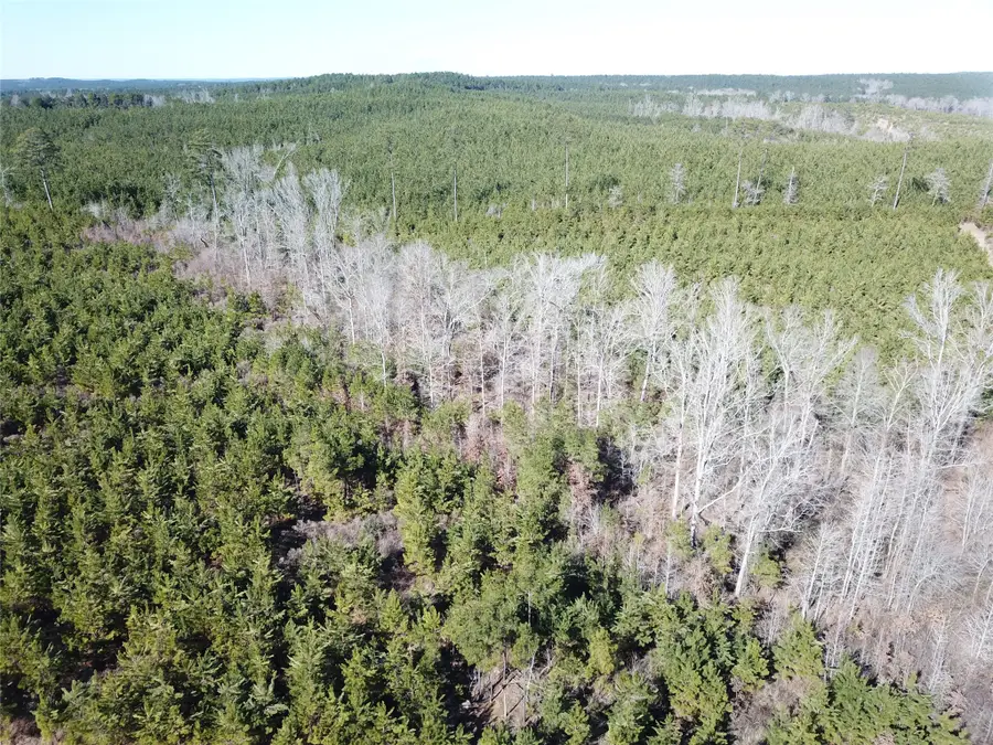 00 Off Hwy 517, Gibsland, LA 71028 - #2