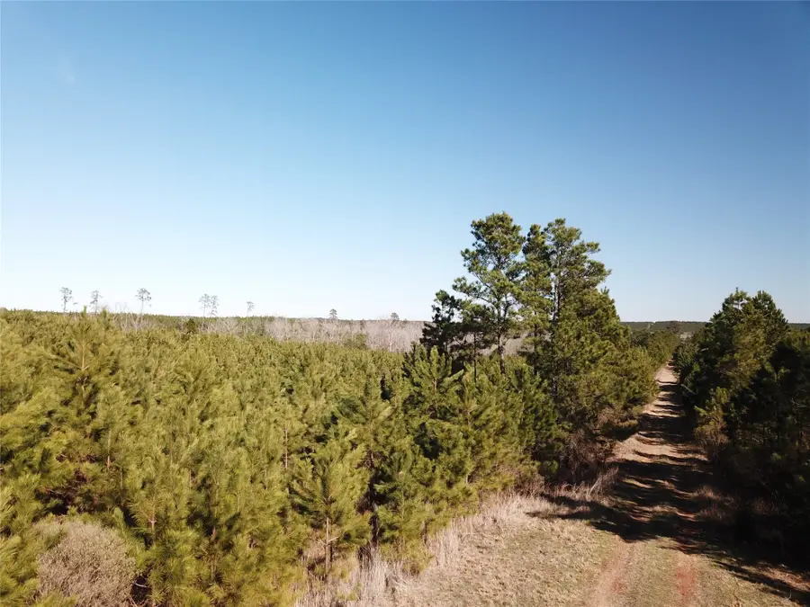 00 Off Hwy 517, Gibsland, LA 71028 - #3