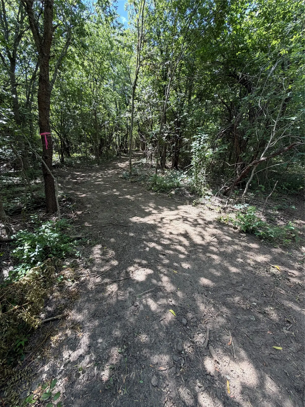 TBD Sandswitch Road, Ennis, TX 75119 - #1