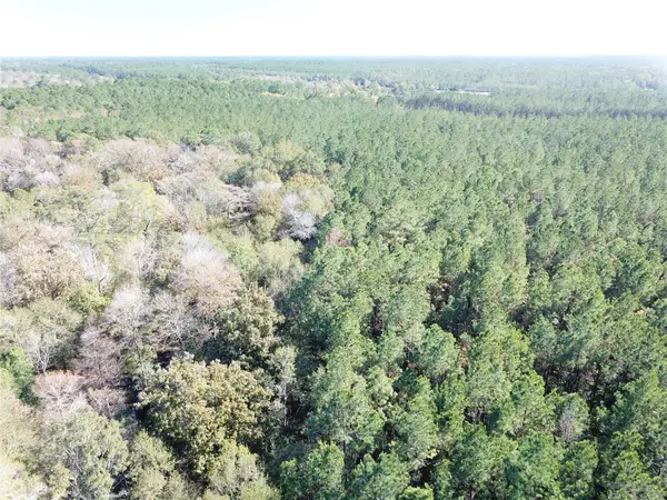00 Fm 770, Kountze, TX 77625