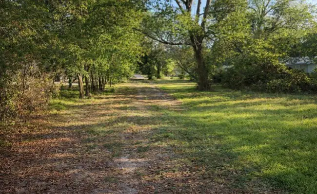1723 Dixie Street, Commerce, TX 75428 - #1