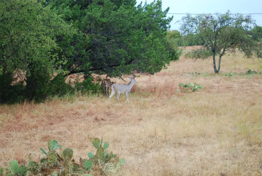 42201 Preston Trail, Whitney, TX 76692 - #3