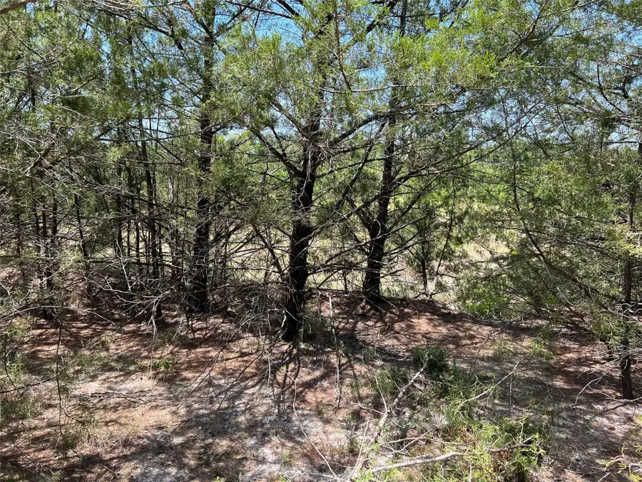 11AC Pilot Grove Road, Whitewright, TX 75491 - #3