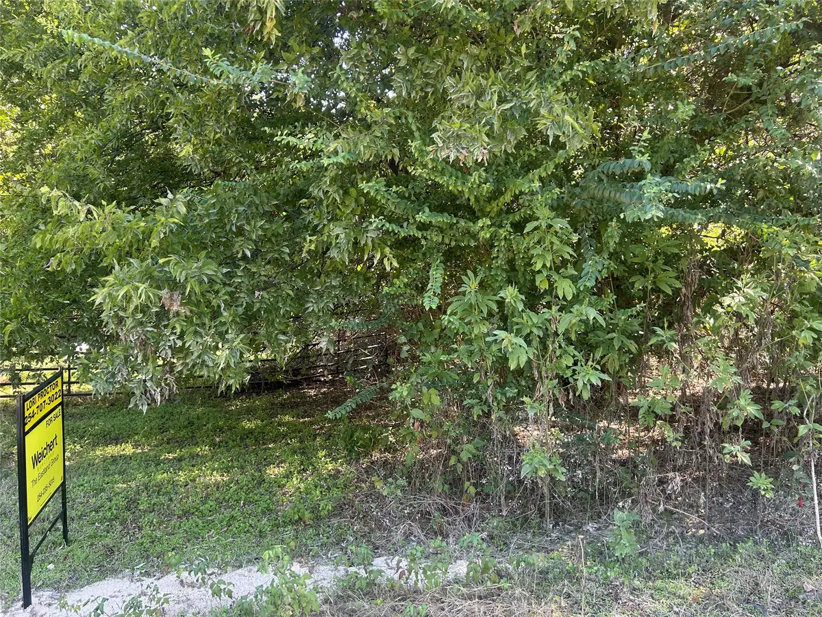 LAKEVIEW ST Lakeview St, Whitney, TX 76692 - #1