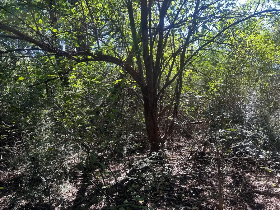 LAKEVIEW ST Lakeview St, Whitney, TX 76692 - #2