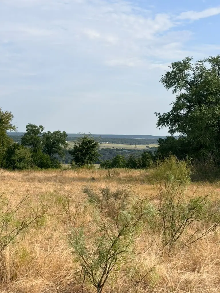 41 Mountain Top Trail, Mineral Wells, TX 76067 - #2