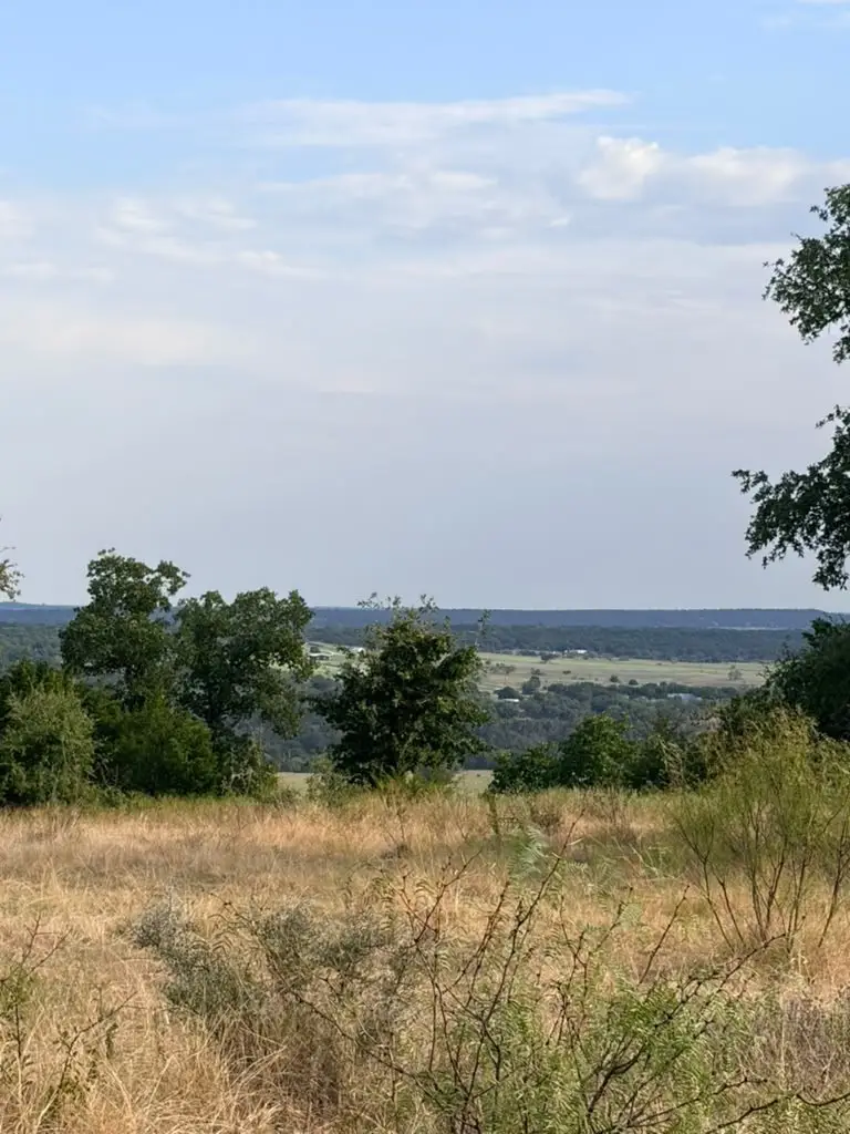 41 Mountain Top Trail, Mineral Wells, TX 76067 - #3