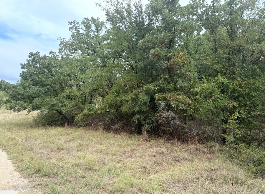 207 Lindsey Lane, Runaway Bay, TX 76426 - #2