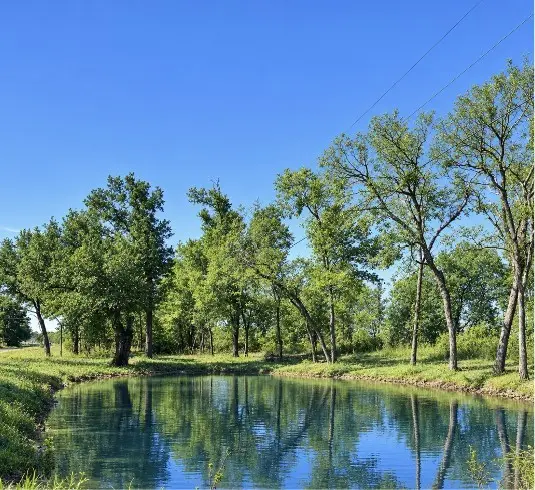1.62 acres Texas Highway 11 W, Sulphur Springs, TX 75482