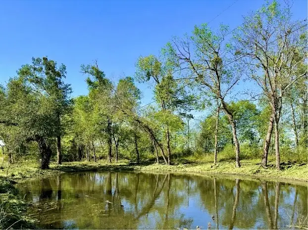 1.62 acres Texas Highway 11 W, Sulphur Springs, TX 75482 - #2