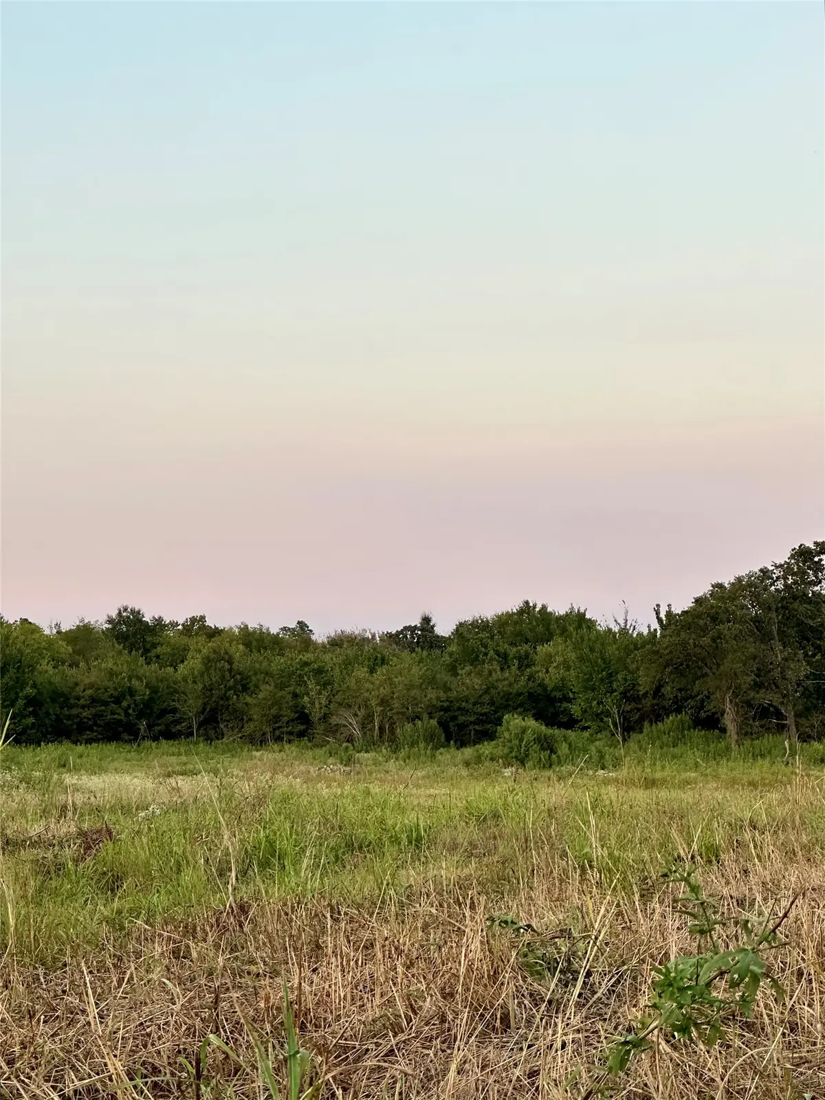 TBD County Road 2174, Sulphur Springs, TX 75482 - #1